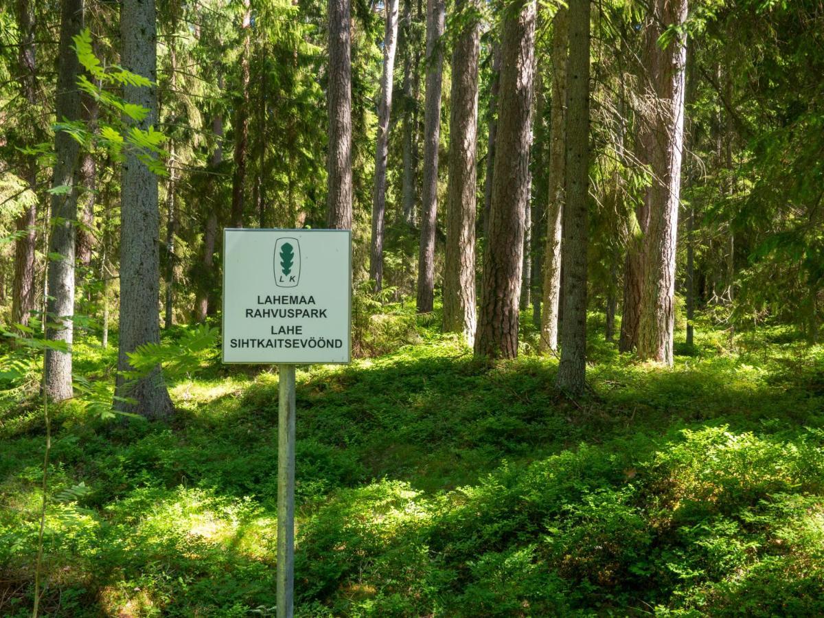 Nature Guest House Võsu Zewnętrze zdjęcie